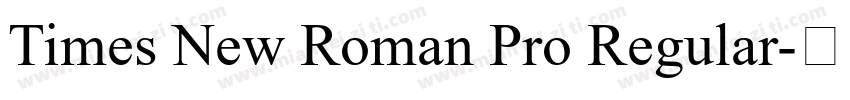 Times New Roman Pro Regular字体转换